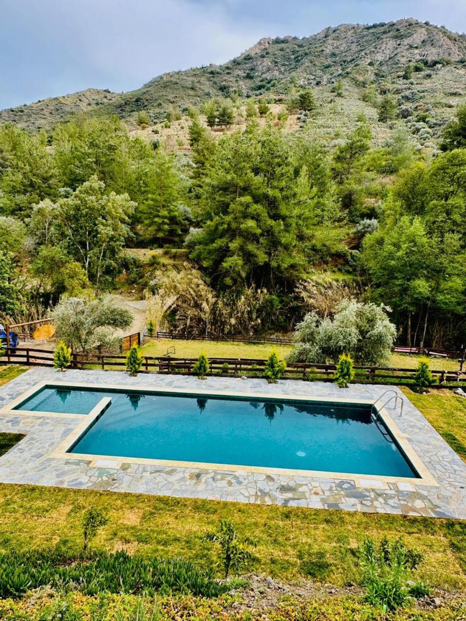 Cozy Glamping With Pool, Perfect For Couples & Families Διαμέρισμα *